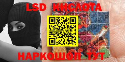 крисы Камышлов