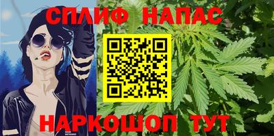 крисы Камышлов