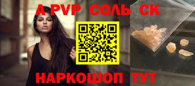 крисы Камышлов