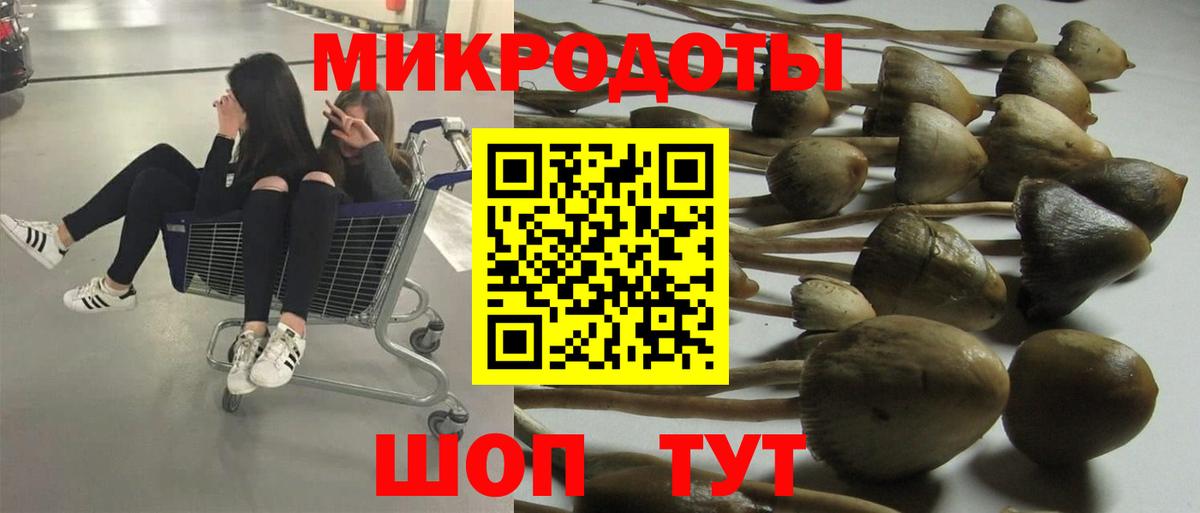 Галлюциногенные грибы прущие грибы  Галлюциногенные грибы мухоморы  Вход с VPN  Кызыл 